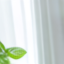 test1112 c1-st6000