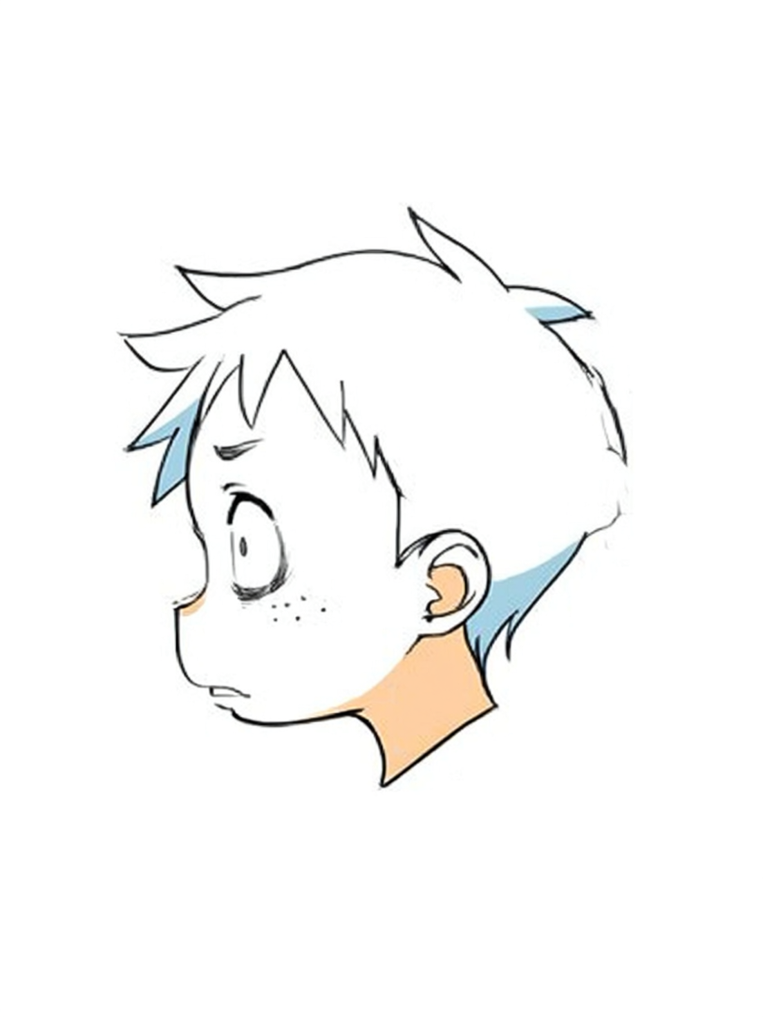 1 c1-st5000