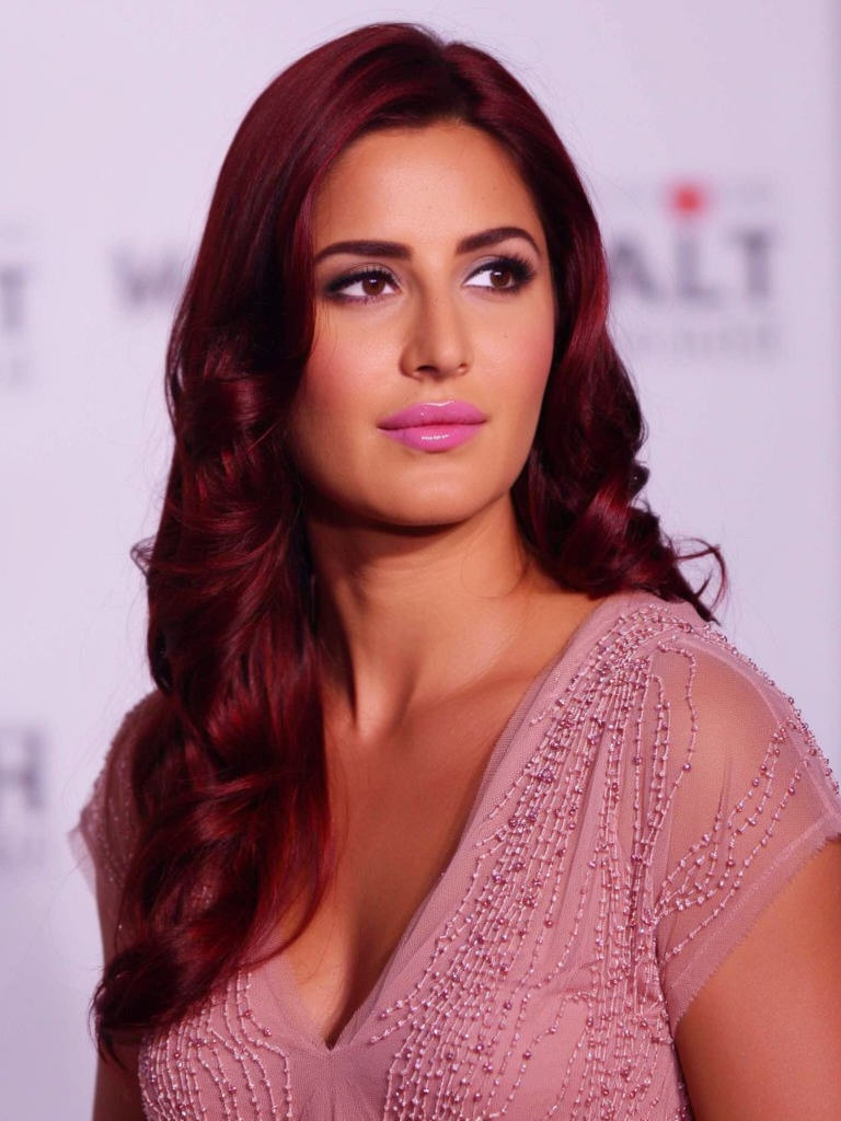 KatrinaKaif_Klein9B_3 ckpt-5