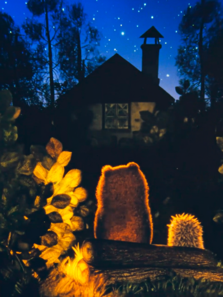 Hedgehog_in_the_fog c1-st3000