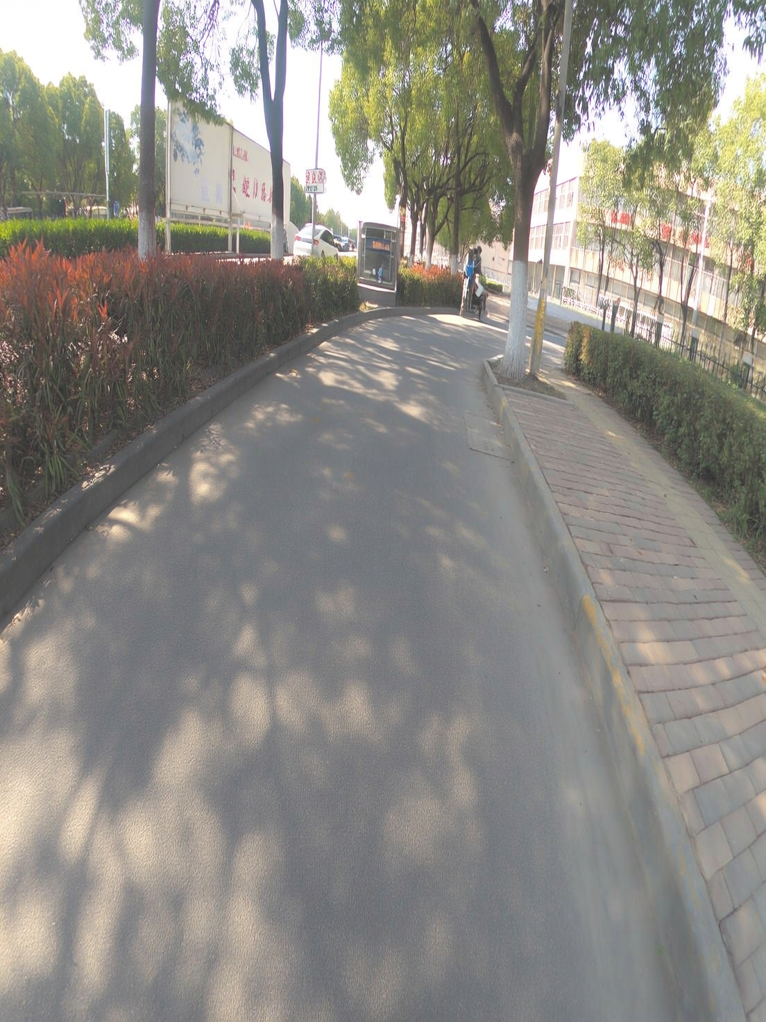 sidewalk_accessibility_v1