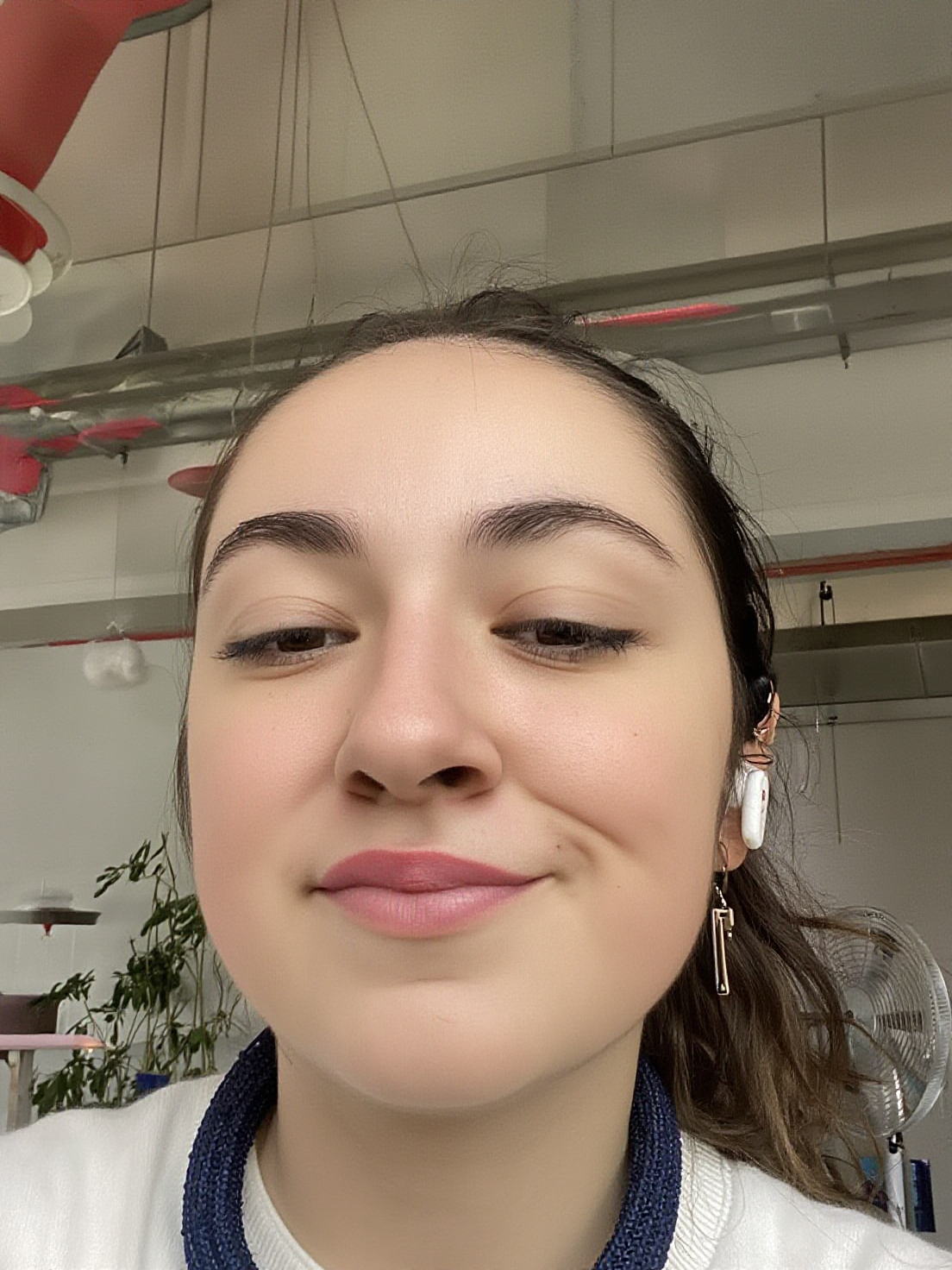elina ckpt-25