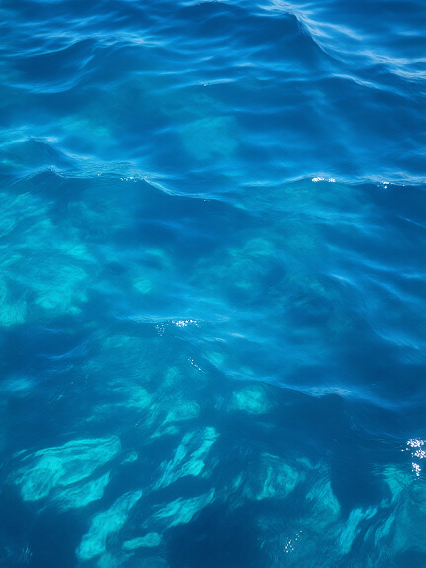 sdfafd/sea ckpt-15