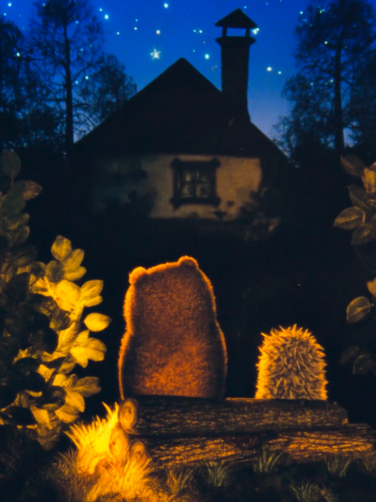 Hedgehog_in_the_fog c1-st2000