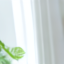 test1112 c1-st5000