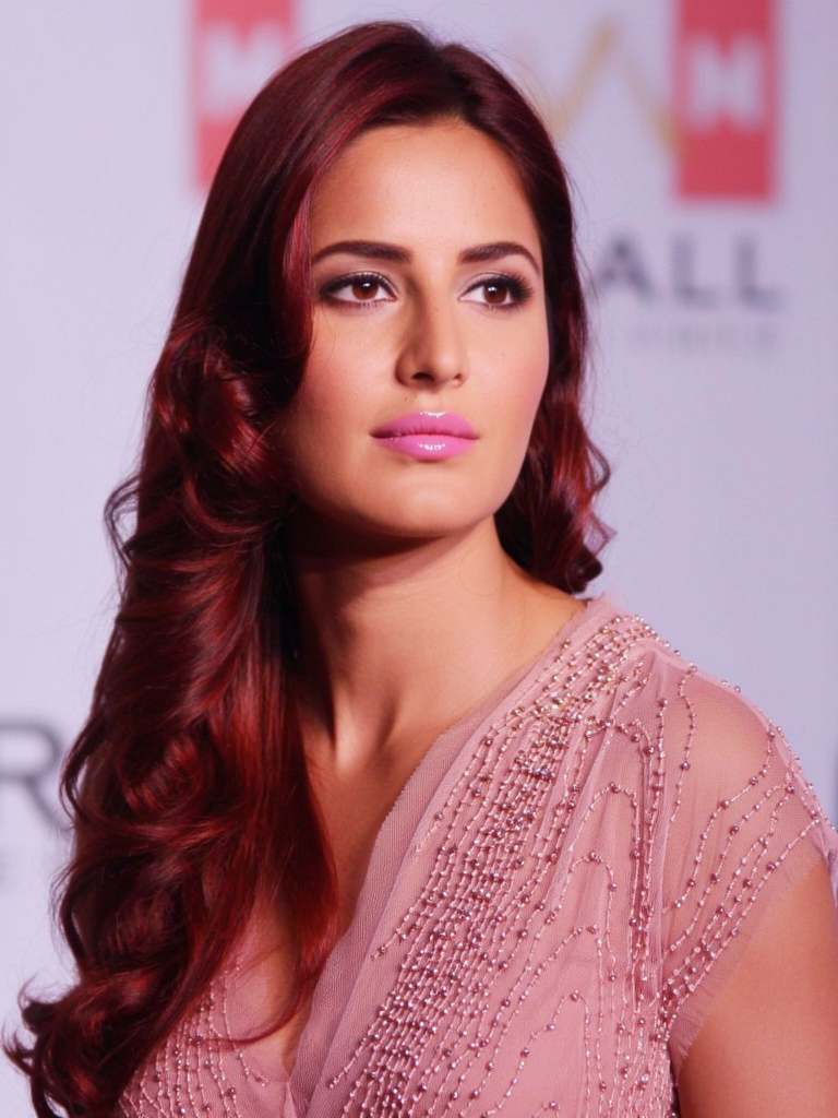 KatrinaKaif_Klein9B_3 ckpt-6